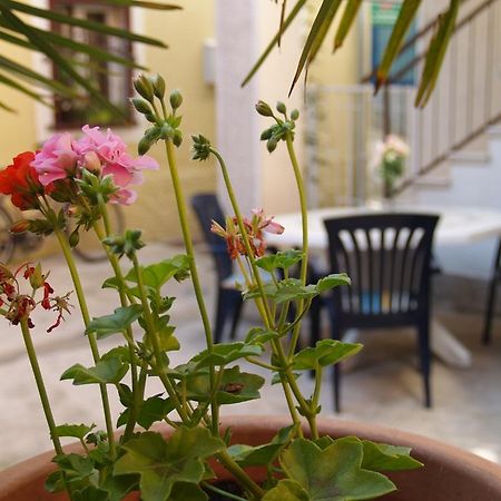 Apartment Nana 1 希贝尼克 外观 照片