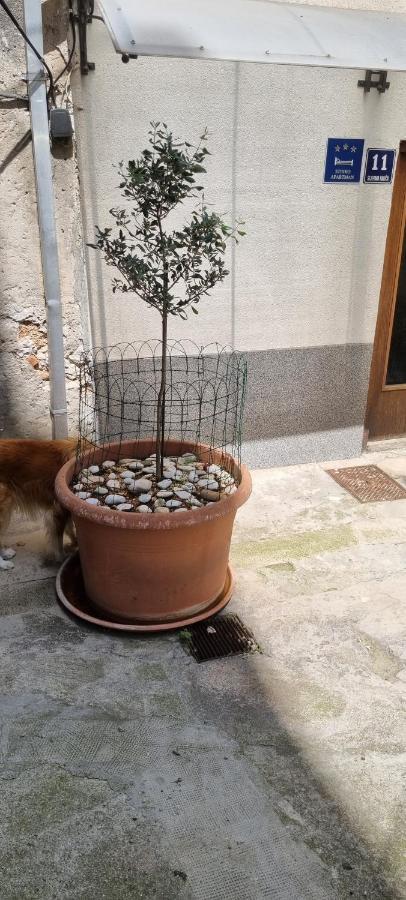 Apartment Nana 1 希贝尼克 外观 照片